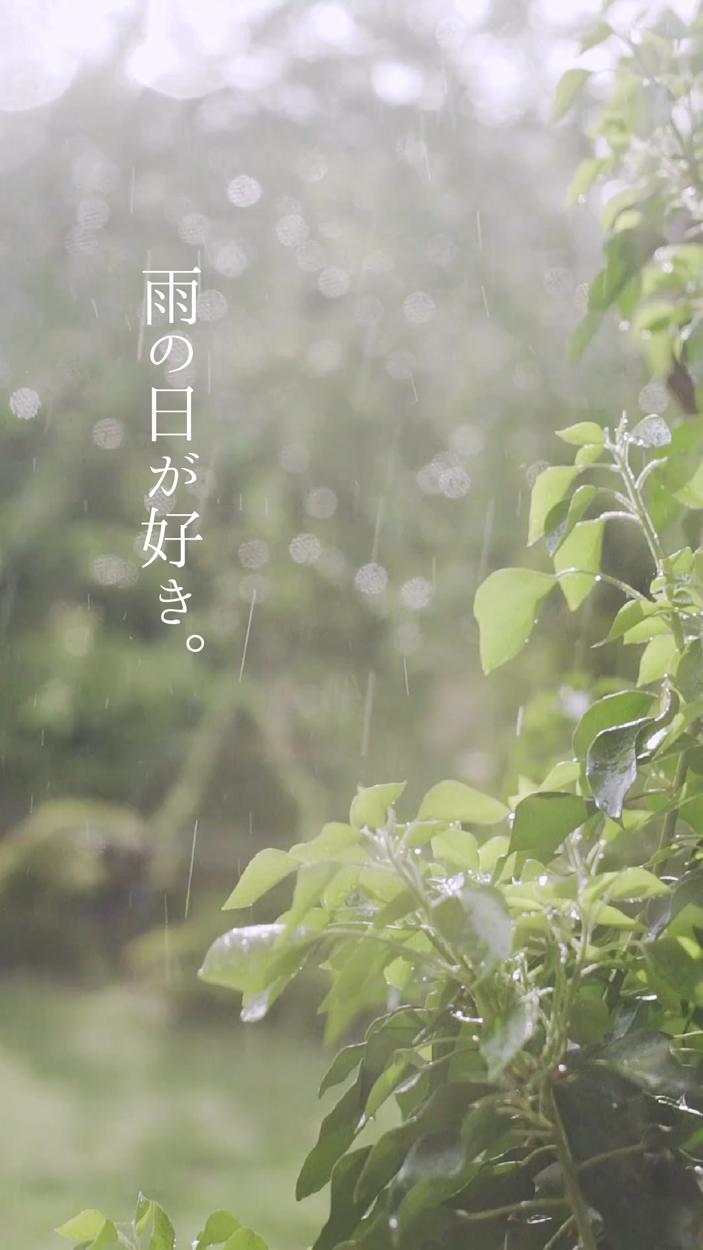 雨